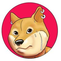 PhysicalDoge Airdrop