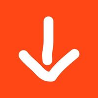 Скачать видео TikTok