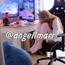 Angellmarr