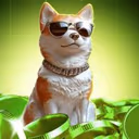 DogeStar