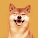 Shiba Inu