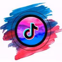 TikTok Instagram Youtube Downloader