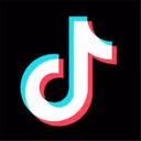 TikTok video Downloader